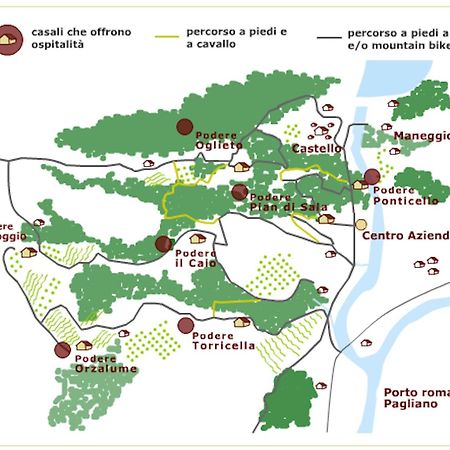 Tenuta Di Corbara Corbara  Экстерьер фото