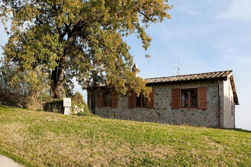Tenuta Di Corbara Corbara  Экстерьер фото